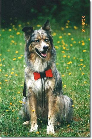 Scotty, after being adopted